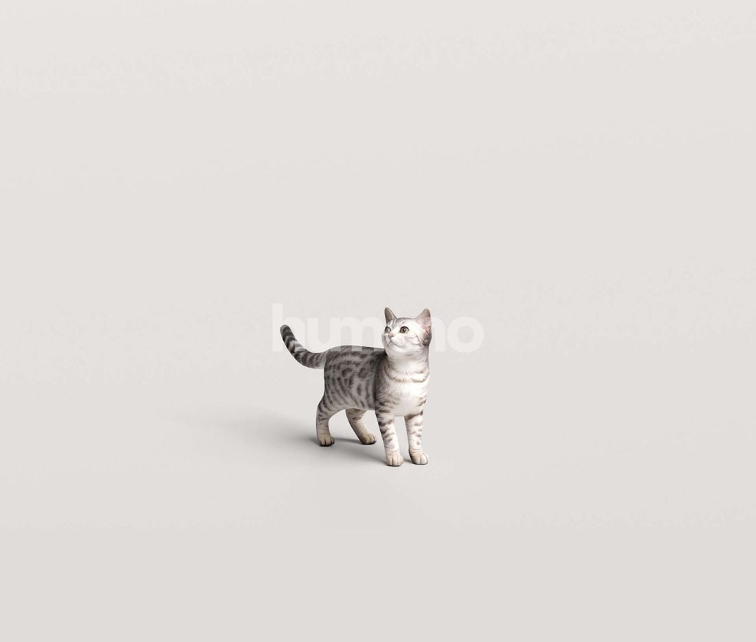 3_Humano_2711_Pets_10