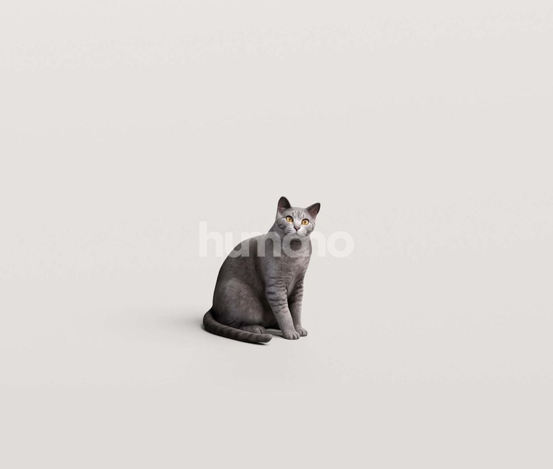3_Humano_2711_Pets_11