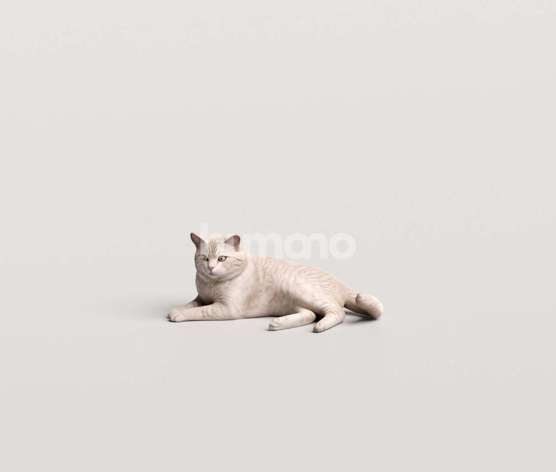 3_Humano_2711_Pets_12
