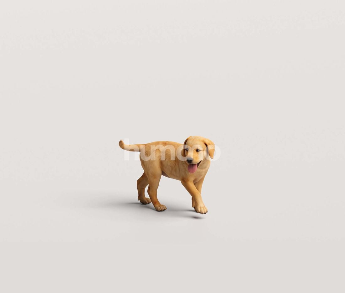 3_Humano_2711_Pets_2