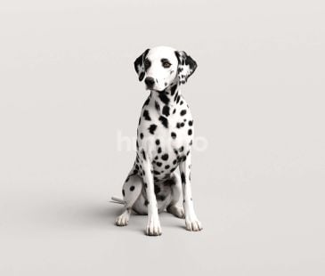 3_Humano_2711_Pets_3