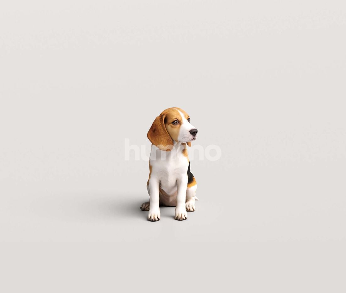 3_Humano_2711_Pets_4