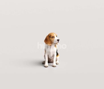 3_Humano_2711_Pets_4