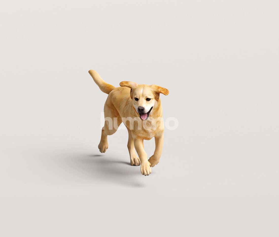 3_Humano_2711_Pets_6