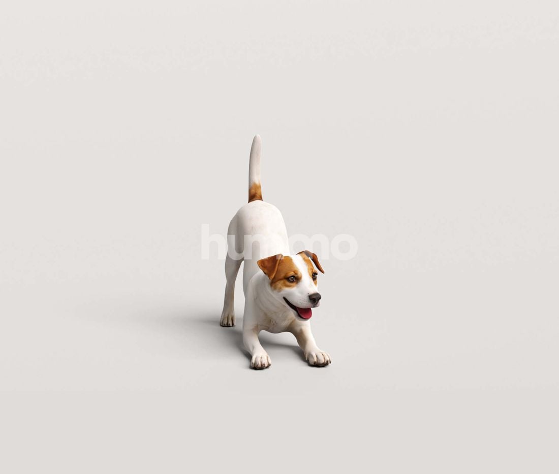 3_Humano_2711_Pets_7