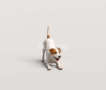 3_Humano_2711_Pets_7