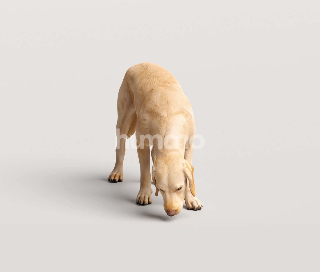 3_Humano_2711_Pets_8