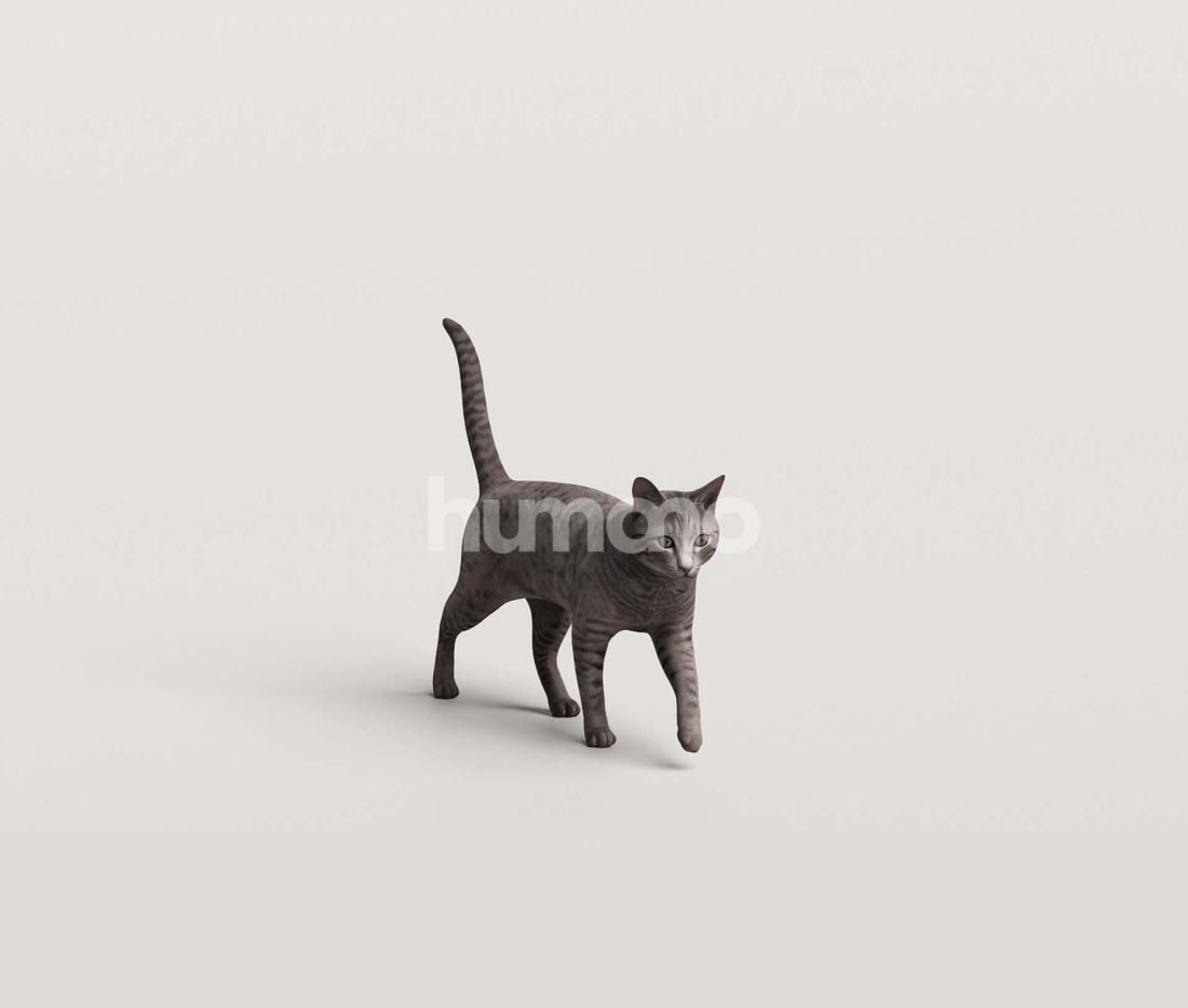 3_Humano_2711_Pets_9