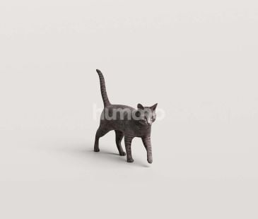 3_Humano_2711_Pets_9