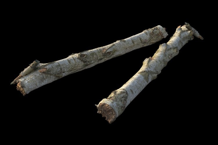 4 forest element