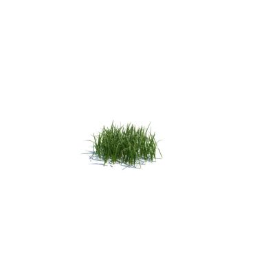 simple grass small 103 AM124 Archmodels