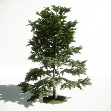 Tree 10 AM1 for CryEngine Archmodels