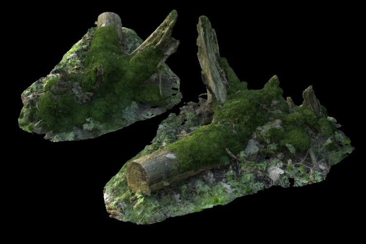 25 forest element