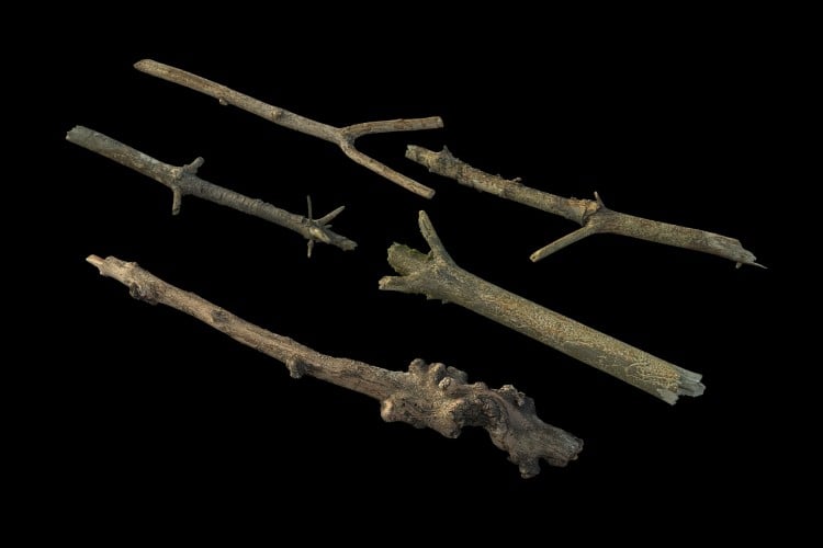 47 forest element
