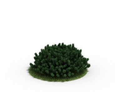 Plant 29 AM4 for Cinema4D Archmodels