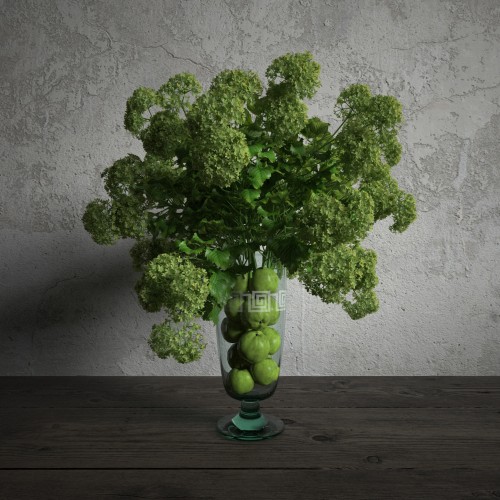 plant 1 AM173 Archmodels