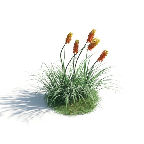 plant 40 AM183 Archmodels