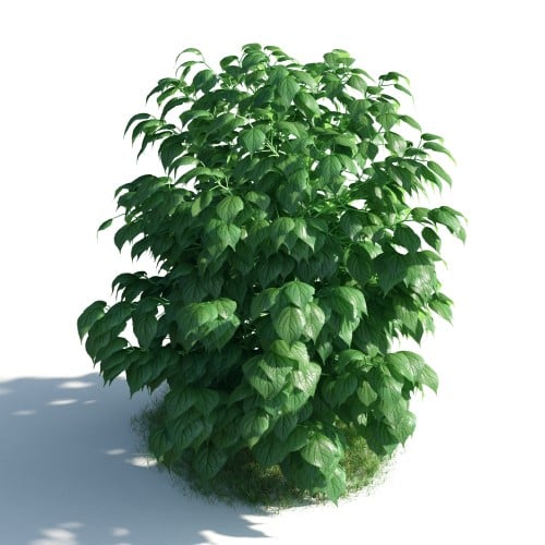 plant 28 AM183 Archmodels