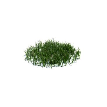 simple grass medium 107 AM124 Archmodels