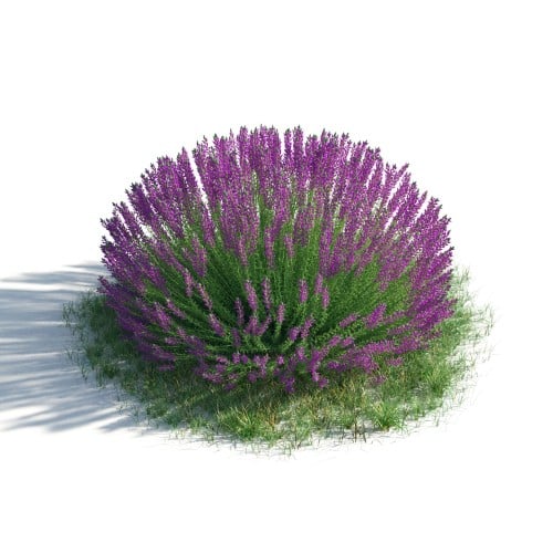 plant 54 AM183 Archmodels