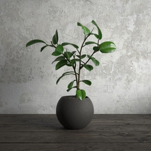 plant 55 AM173 Archmodels
