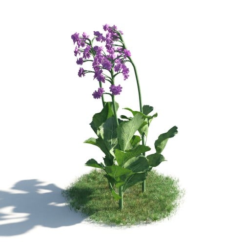 plant 10 AM183 Archmodels