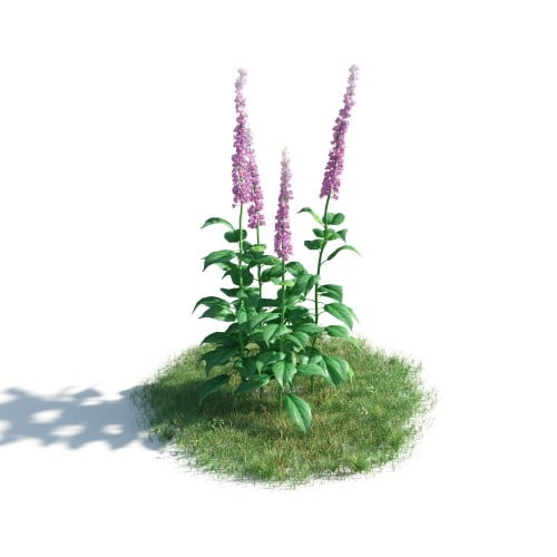 plant 30 AM183 Archmodels