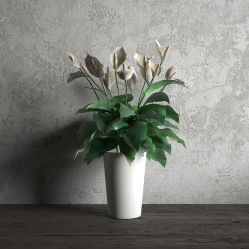 plant 32 AM173 Archmodels