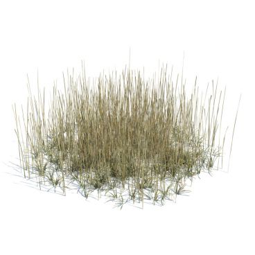 simple grass large 141 AM124 Archmodels