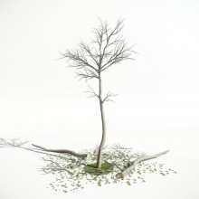 Tree 60 AM1 for CryEngine Archmodels