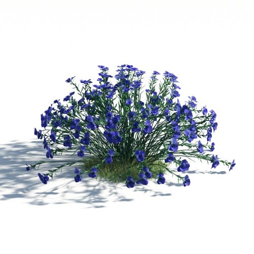 plant 7 AM183 Archmodels