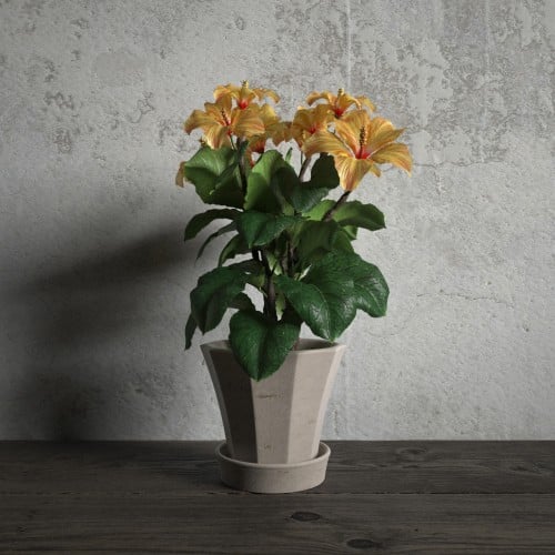 plant 41 AM173 Archmodels