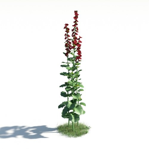 plant 1 AM183 Archmodels