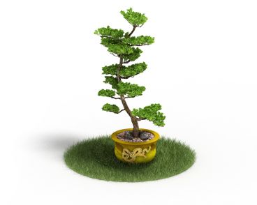 Plant 46 AM4 for Cinema4D Archmodels