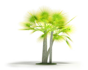 Plant 11 AM4 for Cinema4D Archmodels