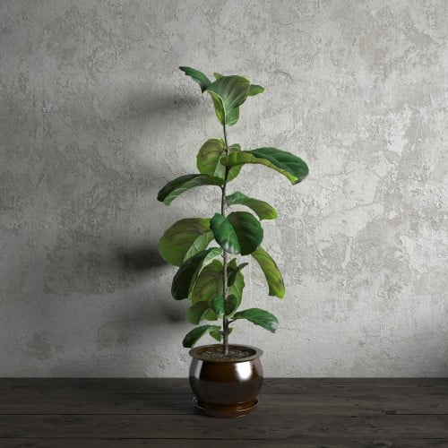 plant 19 AM173 Archmodels