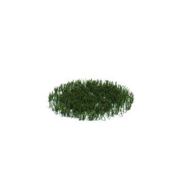 simple grass medium 14 AM126 Archmodels