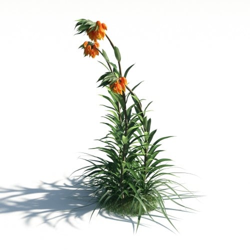 plant 21 AM183 Archmodels