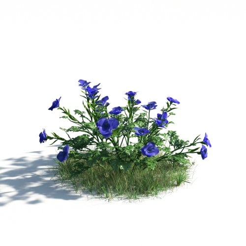 plant 6 AM183 Archmodels