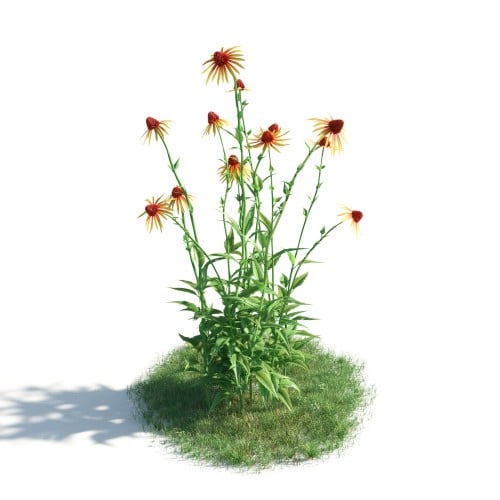 plant 33 AM183 Archmodels
