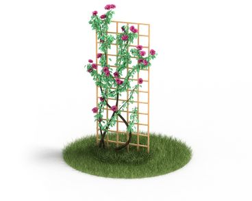 Plant 43 AM4 for Cinema4D Archmodels