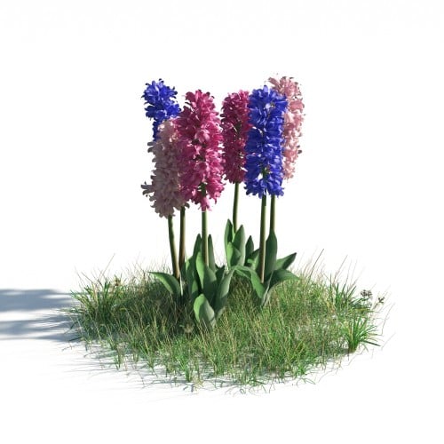 plant 25 AM183 Archmodels
