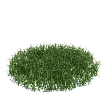 simple grass large 105 AM124 Archmodels