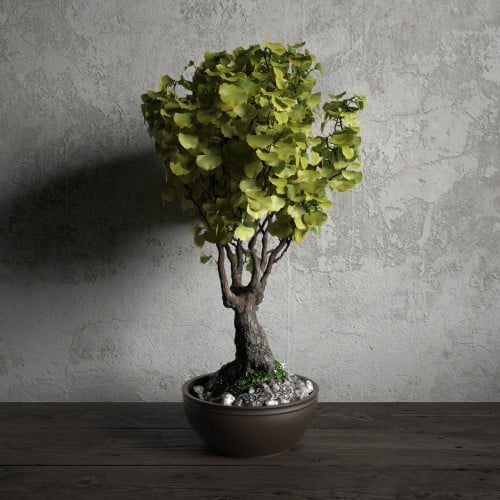 plant 29 AM173 Archmodels