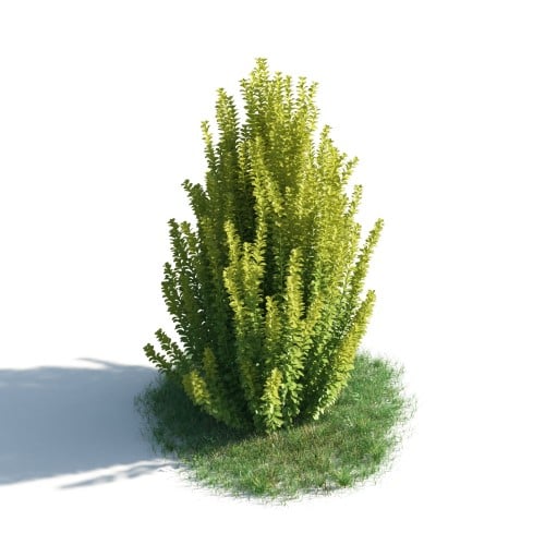 plant 47 AM183 Archmodels