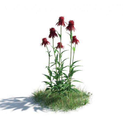 plant 35 AM183 Archmodels