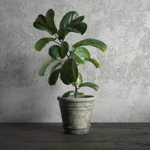 plant 20 AM173 Archmodels