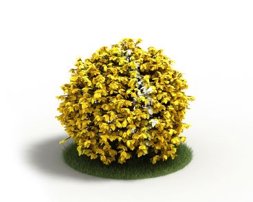 Plant 30 AM4 for Cinema4D Archmodels
