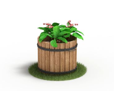 Plant 59 AM4 for Cinema4D Archmodels