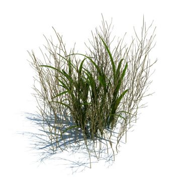 simple grass 68 AM124 Archmodels